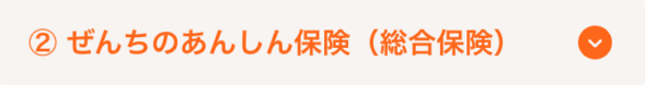 ぜんちのあんしん保険（総合保険）